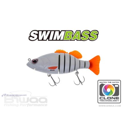 BIWAA SWIMBASS 6" SLOW SINK 15cm 65gr 29 Pearl White