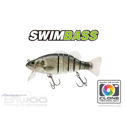 BIWAA SWIMBASS 6" SLOW SINK 15cm 65gr 51 Brazino