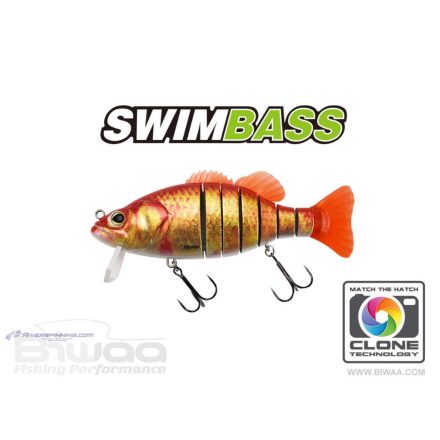 BIWAA SWIMBASS 6" SLOW SINK 15cm 65gr 53 Gold Fish