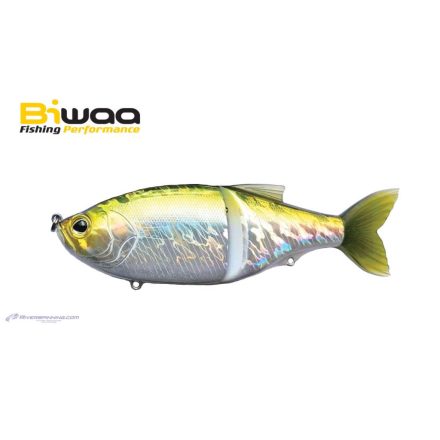 BIWAA GLIDEBEAST 145S 14.5cm 57gr D019 Dos Vert