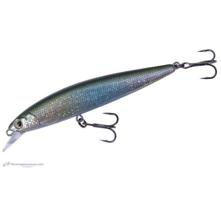 MAJOR CRAFT CEANA JERKBAIT 90SPS SHALLOW 9cm 10gr #002 Green Back Silver