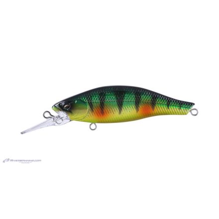 BABYFACE SH60-SP 60mm 5gr 10 Perch