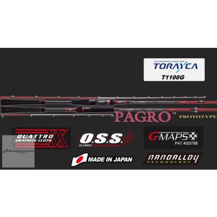 PAGRO PROTOTYPE GPPS-702ML R-FAST 2.08m MAX 100gr