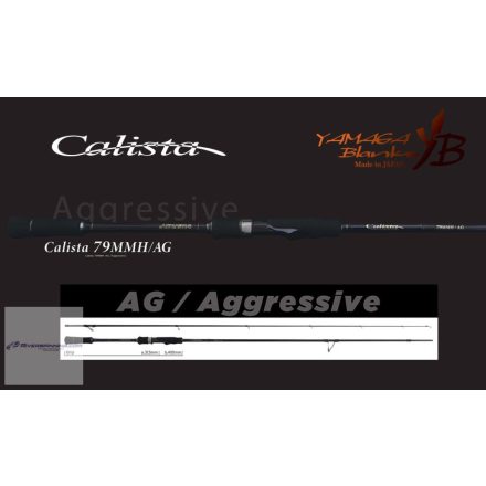 YAMAGA CALISTA 79MMH/AG 2.38m 35gr Fuji Titanium Torzite