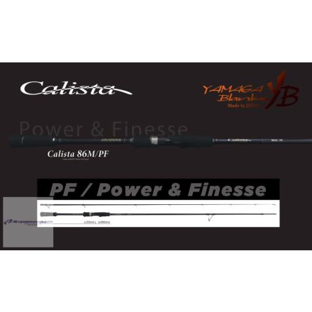 YAMAGA CALISTA 86M/PF 2.573m 28gr Fuji Titanium Torzite